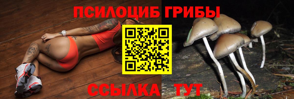 Новотроицк  Галлюциногенные грибы Psilocybine cubensis  Вход с VPN  Галлюциногенные грибы Psilocybe 